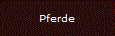 Pferde